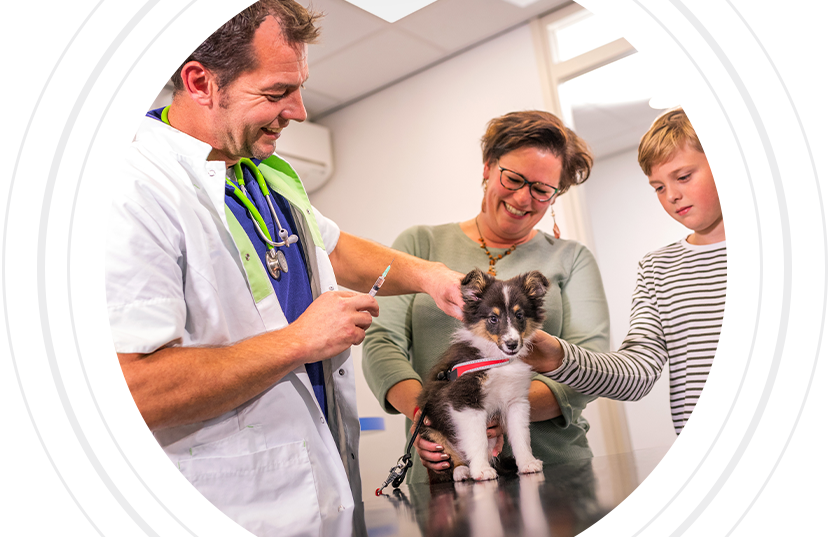 Veterinarian administers a vaccine to a puppy while a woman and child watch